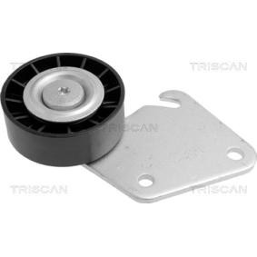 Umlenk- / Führungsrolle, Keilrippenriemen 8641 102007 von TRISCAN günstig für 52,11 € online kaufen