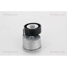 Spannrolle, Keilrippenriemen 8641 103003 von TRISCAN günstig für 74,10 € online kaufen