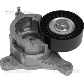 Spannarm, Keilrippenriemen 8641 103004 von TRISCAN günstig für 70,45 € online kaufen