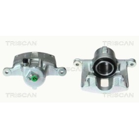 Spannrolle, Keilrippenriemen 8641 111008 von TRISCAN günstig für 75,29 € online kaufen