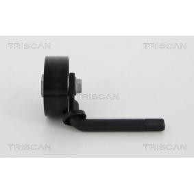 Spannrolle, Keilrippenriemen 8641 111013 von TRISCAN günstig für 63,38 € online kaufen
