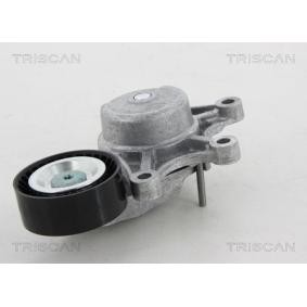 Spannrolle, Keilrippenriemen 8641 111020 von TRISCAN günstig für 74,79 € online kaufen