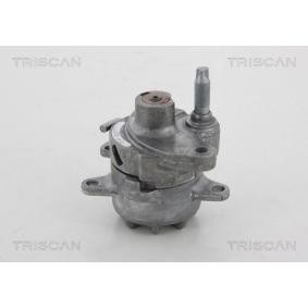 Spannrolle, Keilrippenriemen 8641 232018 von TRISCAN günstig für 111,07 € online kaufen