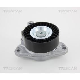 Spannarm, Keilrippenriemen 8641 233016 von TRISCAN günstig für 89,25 € online kaufen