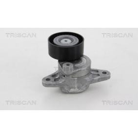 Spannarm, Keilrippenriemen 8641 233021 von TRISCAN günstig für 105,34 € online kaufen
