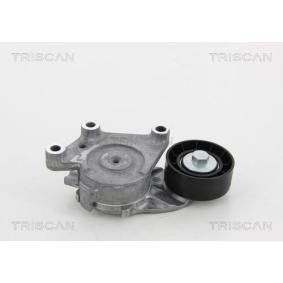 Spannrolle, Keilrippenriemen 8641 282018 von TRISCAN günstig für 89,13 € online kaufen