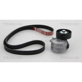 Keilrippenriemensatz 8642 10013 von TRISCAN günstig für 109,40 € online kaufen