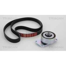 Keilrippenriemensatz 8642 28001 von TRISCAN günstig für 108,53 € online kaufen