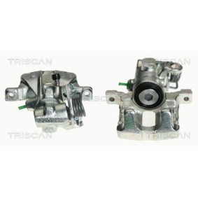 Spannrolle, Zahnriemen 8646 10108 von TRISCAN günstig für 46,67 € online kaufen