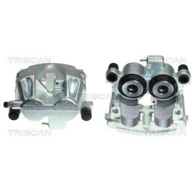 Spannrolle, Zahnriemen 8646 29132 von TRISCAN günstig für 56,19 € online kaufen