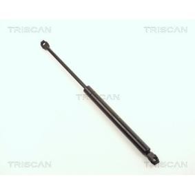 Heckklappendämpfer 8710 1114 von TRISCAN günstig für 16,59 € online kaufen