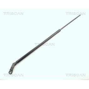 Heckklappendämpfer 8710 11205 von TRISCAN günstig für 23,71 € online kaufen