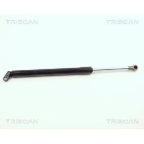 Heckklappendämpfer 8710 11208 von TRISCAN günstig für 27,10 € online kaufen