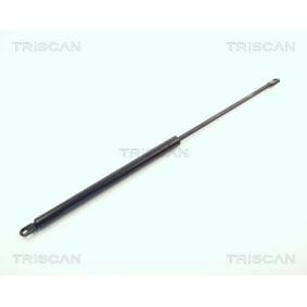 Heckklappendämpfer 8710 11210 von TRISCAN günstig für 15,68 € online kaufen