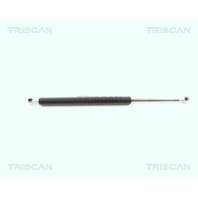 Heckklappendämpfer 8710 11216 von TRISCAN günstig für 28,82 € online kaufen