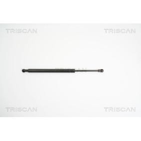 Heckklappendämpfer 8710 11227 von TRISCAN günstig für 26,18 € online kaufen
