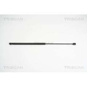 Motorhaubendämpfer 8710 12105 von TRISCAN günstig für 19,90 € online kaufen