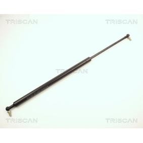 Heckklappendämpfer 8710 13205 von TRISCAN günstig für 13,09 € online kaufen
