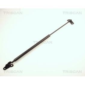 Heckklappendämpfer 8710 13209 von TRISCAN günstig für 24,90 € online kaufen