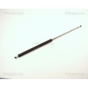Heckklappendämpfer 8710 13251 von TRISCAN günstig für 68,57 € online kaufen