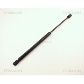 Heckklappendämpfer 8710 13258 von TRISCAN günstig für 28,85 € online kaufen