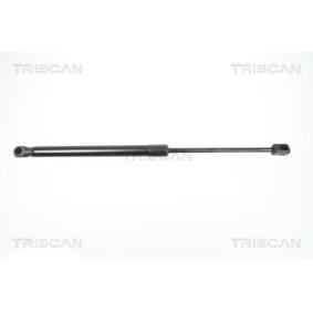 Heckklappendämpfer 8710 18223 von TRISCAN günstig für 25,19 € online kaufen