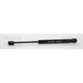 Heckklappendämpfer 8710 20109 von TRISCAN günstig für 14,23 € online kaufen