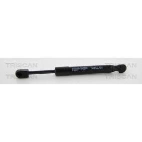 Gasfeder, Heckscheibe 8710 20205 von TRISCAN günstig für 49,57 € online kaufen