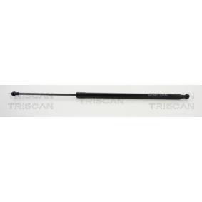 Heckklappendämpfer 8710 20206 von TRISCAN günstig für 17,88 € online kaufen