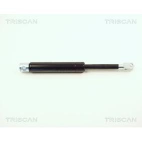 Heckklappendämpfer 8710 2312 von TRISCAN günstig für 32,68 € online kaufen