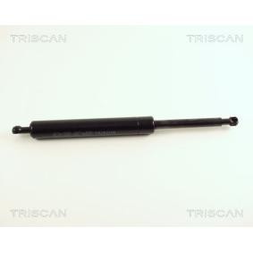 Heckklappendämpfer 8710 23207 von TRISCAN günstig für 68,57 € online kaufen