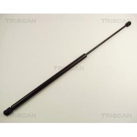 Heckklappendämpfer 8710 23208 von TRISCAN günstig für 57,18 € online kaufen