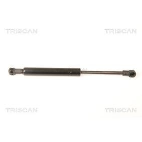 Heckklappendämpfer 8710 23218 von TRISCAN günstig für 17,88 € online kaufen