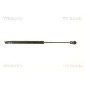 Heckklappendämpfer 8710 23219 von TRISCAN günstig für 12,82 € online kaufen