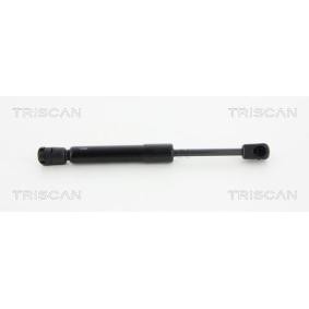 Heckklappendämpfer 8710 23223 von TRISCAN günstig für 31,12 € online kaufen