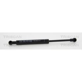 Heckklappendämpfer 8710 23238 von TRISCAN günstig für 14,32 € online kaufen