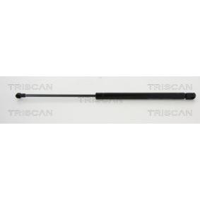 Heckklappendämpfer 8710 292015 von TRISCAN günstig für 22,87 € online kaufen