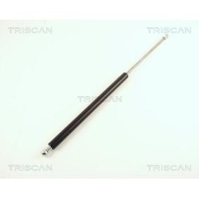 Heckklappendämpfer 8710 29202 von TRISCAN günstig für 13,77 € online kaufen