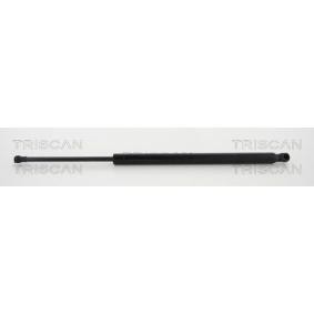 Heckklappendämpfer 8710 292101 von TRISCAN günstig für 27,50 € online kaufen