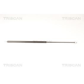 Heckklappendämpfer 8710 29216 von TRISCAN günstig für 42,19 € online kaufen