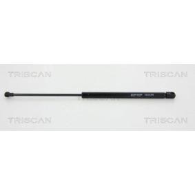Heckklappendämpfer 8710 29221 von TRISCAN günstig für 29,72 € online kaufen