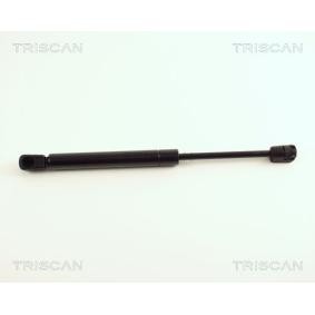 Heckklappendämpfer 8710 29241 von TRISCAN günstig für 25,12 € online kaufen