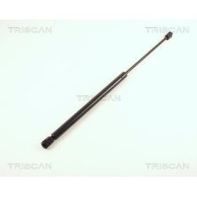 Heckklappendämpfer 8710 29246 von TRISCAN günstig für 14,06 € online kaufen