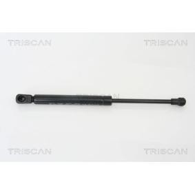 Heckklappendämpfer 8710 29265 von TRISCAN günstig für 17,36 € online kaufen