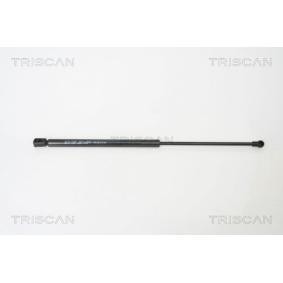 Heckklappendämpfer 8710 66201 von TRISCAN günstig für 18,81 € online kaufen