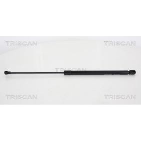 Heckklappendämpfer 8710 66205 von TRISCAN günstig für 25,02 € online kaufen