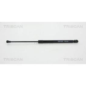 Heckklappendämpfer 8710 66206 von TRISCAN günstig für 24,52 € online kaufen