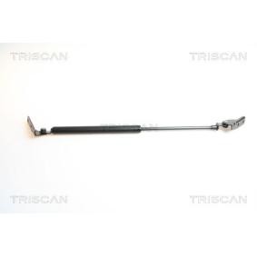 Heckklappendämpfer für SUZUKI von TRISCAN