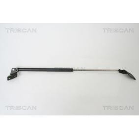 Heckklappendämpfer für SUZUKI von TRISCAN