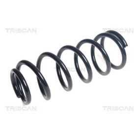 Fahrwerksfeder von TRISCAN 8750 2114
